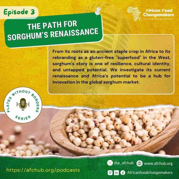The Path for Sorghum's Renaissance